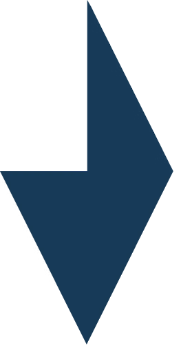GEMBIRD