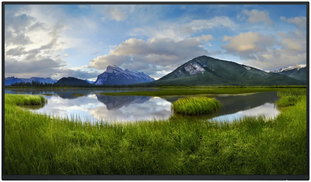 Monitor dell p2725h 27 pulgadas fhd 100hz