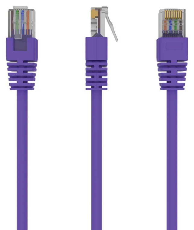 Gembird RJ45/RJ45 Cat5e 0.5m cable de red Púrpura 0,5 m U/UTP (UTP)