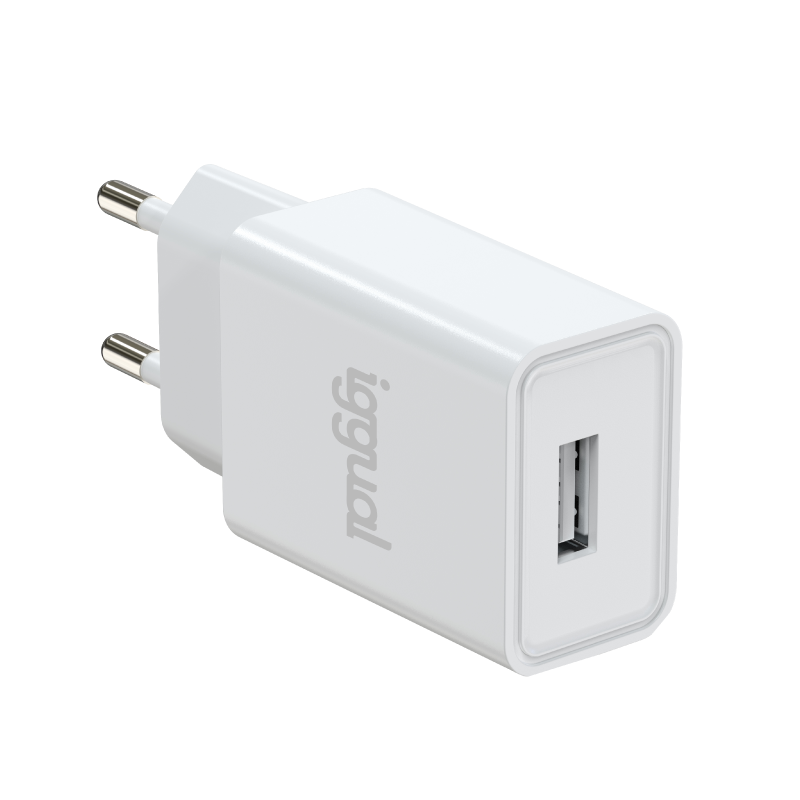 iggual Cargador de pared 1xUSB-A 5V-2A (10W)