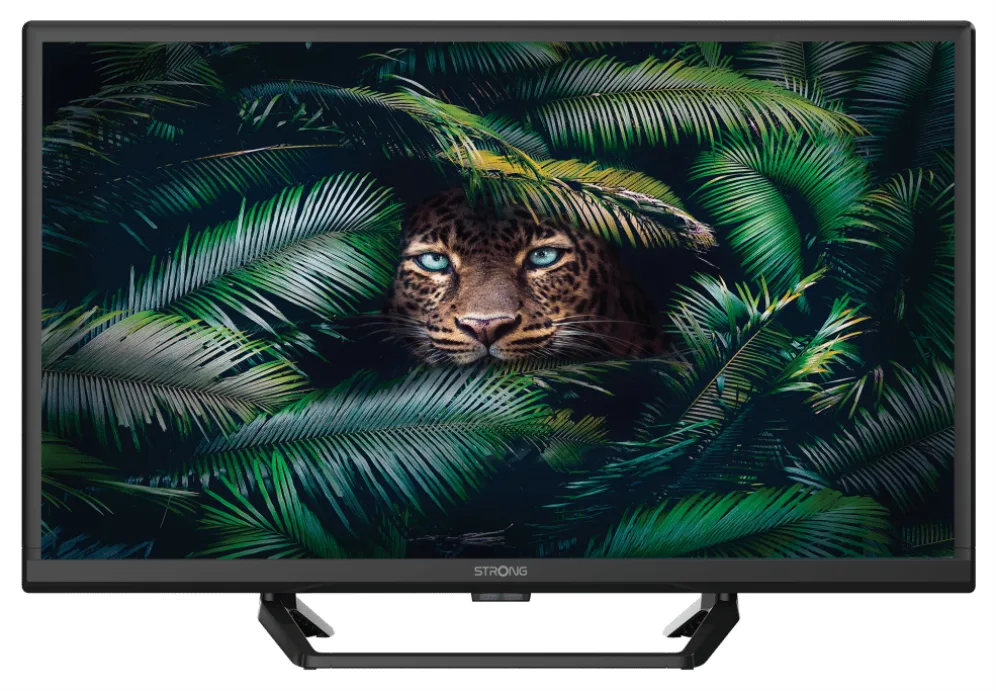 Strong SRT 24HE4023C 61 cm (24") HD Negro 180 cd / m²