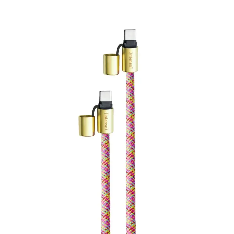 Intenso Lanyard Cable USB-C C 1,65 m Neon mix