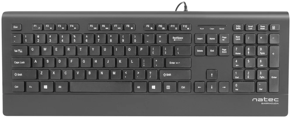 NATEC Barracuda teclado Universal USB QWERTY Español Negro