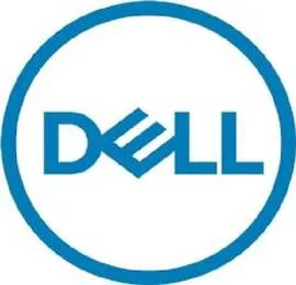 Disco duro interno dell servidor ssd 2.5 pulgadas 480gb 345 - bebh