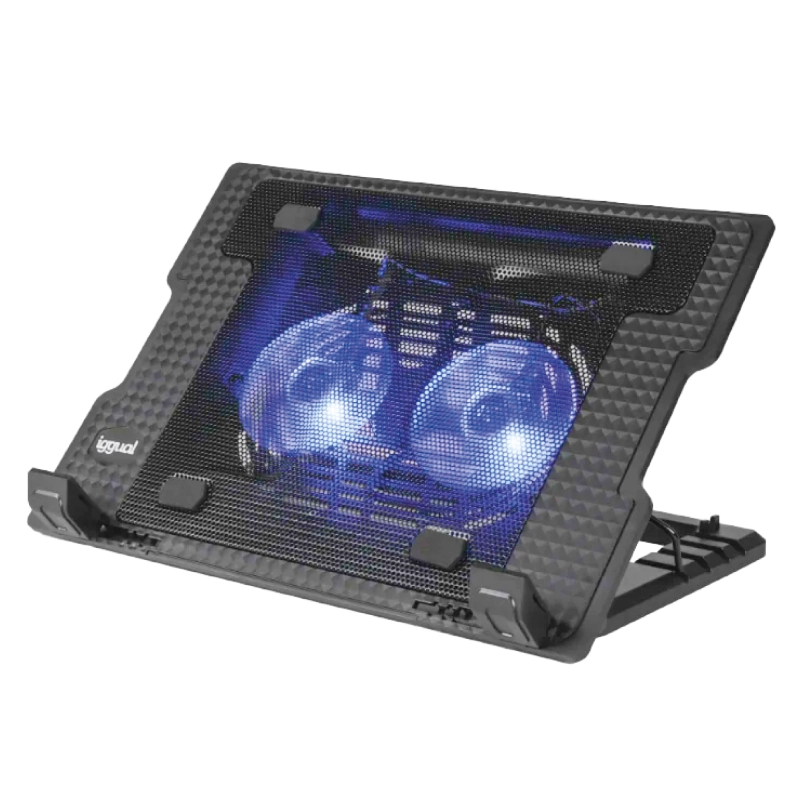 iggual Refrigerador portátil 2 ventiladors RP2V17A